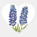 Search for texas bluebonnets stickers Lone star state