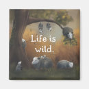 Search for opossum magnets Wildlife