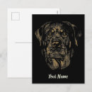 Search for rotties postcards Rottweiler