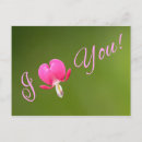Recherche de valentinstag cartes postales Herz