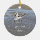Search for sandpiper ornaments Wildlife