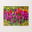 Search for tulip flowers puzzles Garden