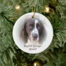 Search for springer spaniel ornaments Pet