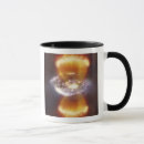 Search for concepts mugs Vertical
