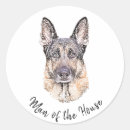 Recherche de bergers allemands autocollants Pour animaux