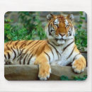 Recherche de chat sauvage tapis souris Grand