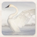 Recherche de elizabeth bar Neige