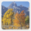 Search for aspen trees stickers Foliage