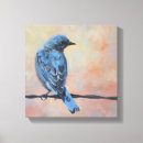 Search for bluebird art Wildlife