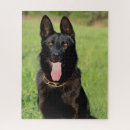 Recherche de german shepherd puzzles Canine