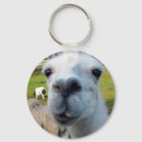 Search for goofy keychains Humour