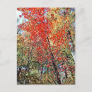 Recherche de pointillisme cartes postales Automne