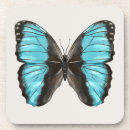 Recherche de papillons bleus dessous de verres Papillon bleu