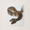 Recherche de sang puzzles Obus