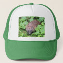 Search for hedgehog hats Animals