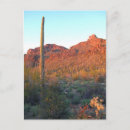 Search for arid vertical postcards Desert