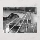Search for basses postcards Cool