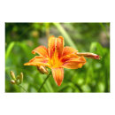 Search for summer holiday posters Birthday