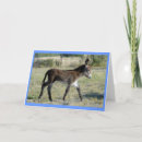 Search for mules invitations Burro