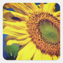 Search for guests stickers Floral