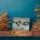 Recherche de wapiti plaques Colorado