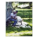 Search for sheep shearing Rural