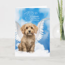 Search for cockapoo home living Spoodle