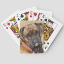 Recherche de headshot jeux de cartes Canine photographer