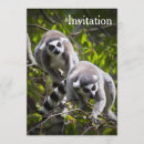 Search for lemur invitations Animal