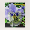 Search for pansy puzzles Plants