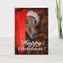 Search for whippet christmas cards Santa dog
