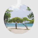 Search for st thomas ornaments Beach