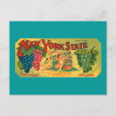 Recherche de raisins verts cartes postales Fruit