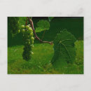 Search for bunch Green