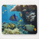 Recherche de mer rouge tapis souris Animal