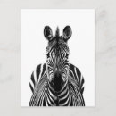 Search for zebra cards invites Black and white