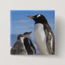 Search for habitat buttons Wildlife