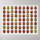 Search for lady bug posters Bugs