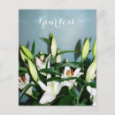 Search for floras flyers Flowers