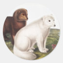 Search for fox illustration stickers Wildlife