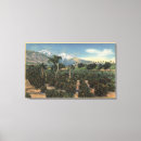 Recherche de orangeraie cartes postales Verger