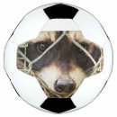 Recherche de yeux ballons foot Drôle