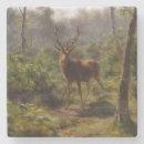 Recherche de stag dessous de verres Forêt