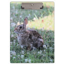 Recherche de lapin porte blocs Animal