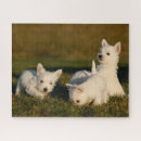 Recherche de west highland terrier puzzles Chien