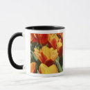 Search for keukenhof mugs Europe
