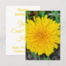 Recherche de de pissenlit mariage invitations Nature