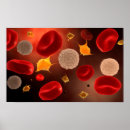 Search for immunizations posters Close up
