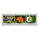 Search for panoramic photo art Nature