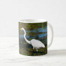 Search for egrets mugs Birds